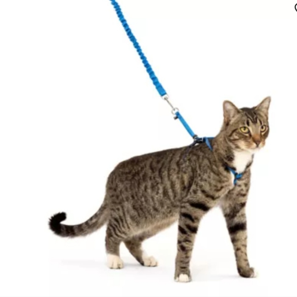 PETSAFE - COME WITH ME KITTY HARNESS & BUNGEE LEASH - ADJUSTABLE - purple